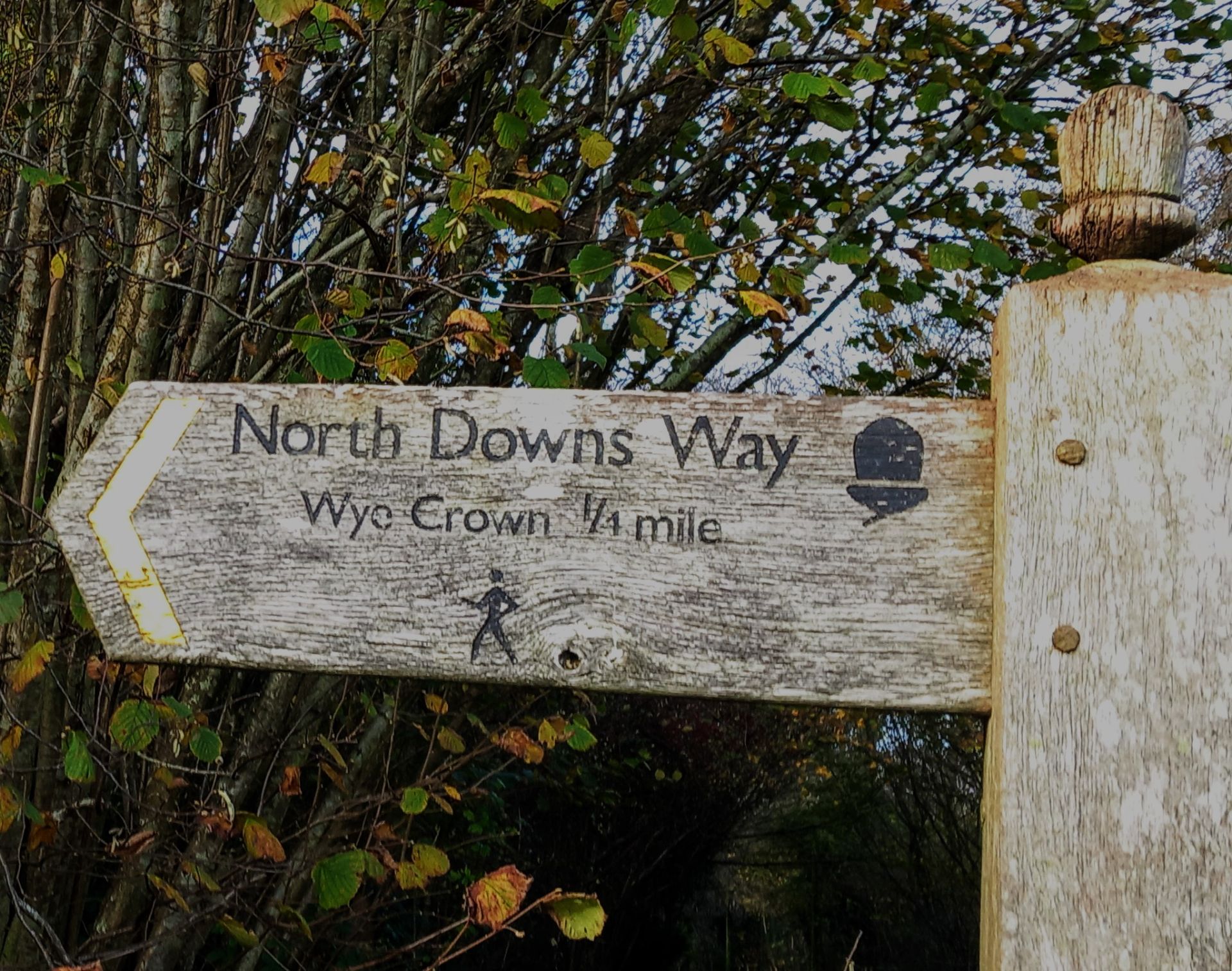 North Downs Way sign